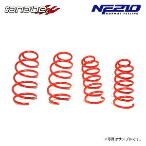 tanabe タナベ サステック NF210 ダウンサス 1台分 CX-5 KE2AW H24.2～H29.2 SH-VPTS DTB 4WD 純正17インチ車