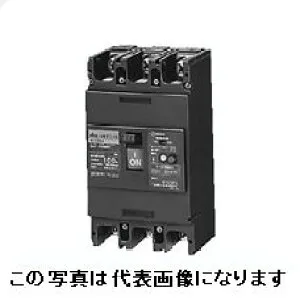 日東工業 GE153A 3P 120A F30H ELB 定格感度電流30mA 漏電ブレーカ・経済形 日東 ☆インボイス領収書可能