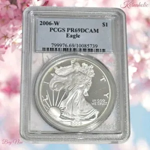 2006年 W $1 プルーフ アメリカン シルバー イーグル PCGS PR69 DCAM 問題なしコイン