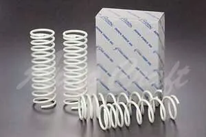 ZOOM ズーム ダウンフォースHG フロント用 ダウンサス プジョー 306 N3XT H5.3～H13.9 FF 2.0L