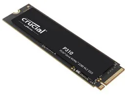 P310 CT1000P310SSD8-JP