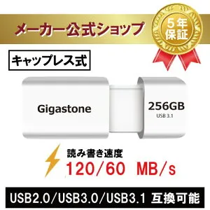 新商品発売！【保証5年】Gigastone USBメモリ 256GB USB3.1 USBメモリ USB 3.1 Gen1 高速 120/60 MB/s メモリ スティック キャップレス USB 2.0/3.0/3.1対応 超急速データ転送 アンドロイドスマホ/MacBook/Windows/パ