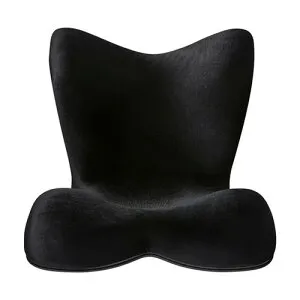 【取り寄せ品】エムティージー MTG スタイルプレミアムデラックス Style PREMIUM DX リッチブラック 健康 姿勢ケア YS-AM03A