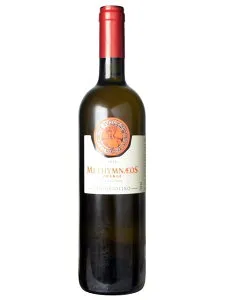 メシムネオス ドライ オレンジ オレンジワイン ギリシャ レスヴォス島 2023 750 Methymnaeos Dry Orange Wine