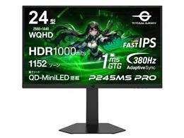 P245MS PRO [24インチ ブラック]