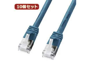 サンワサプライ 【10個セット】サンワサプライ ツメ折れ防止カテゴリ5eSTPLANケーブル KB-STPTS-005BLX10