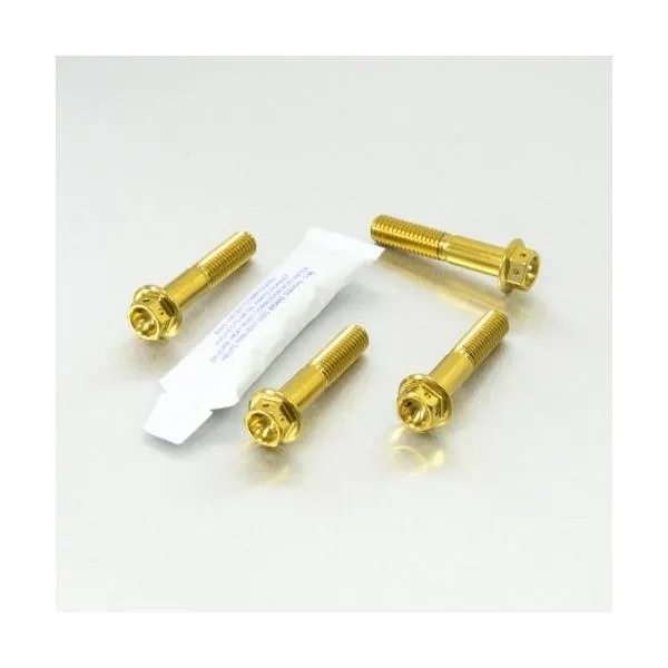 PRO BOLT プロボルト Stainless Steel Front Brake Mounting Bolt Kit Race Spec カラー：ゴールド KX250F KX450F KAWASAKI カワサキ ブレーキ