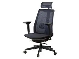 サリダチェア 可動肘 YL8