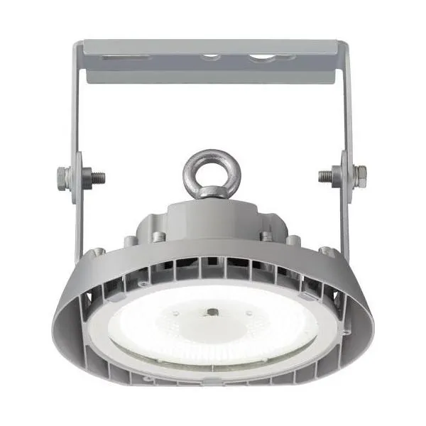 岩崎電気 EHWP07027W/NSAN9 LEDioc HIGH-BAY θ レディオック ハイベイ シータ 70W クラス1000 広角タイプ クリアタイプ グレイメタリック 昼白色 [￡]