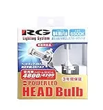 RACING GEAR RGH-P773 [LED ホワイト 6500K H4]