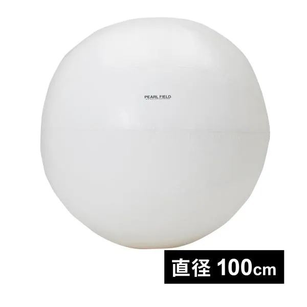 ダンノ DANNO 大玉φ100 D7500W ホワイト 運動会用品 大玉転がし 大玉運び 体育用品 送料無料