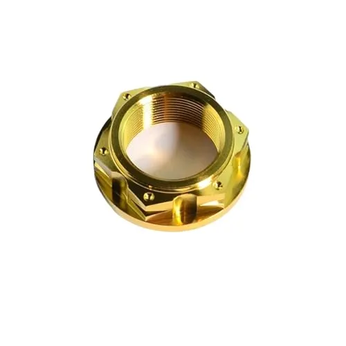 互換性がありますTAIMEILI チタン合金ナット M22/M24/M28 P1.0、オートバイマルチパネルファスナーナットに対応(GOLD,M22 p1.0)