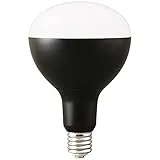 LDR44D-H-E39-E [昼光色]