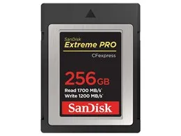 SDCFE-256G-JN4NN [256GB]