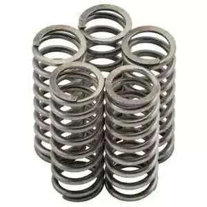 ホンダ CR-F450R 4-5 04-05 ニューフレン クラッチ スプリング キット MO096F- Honda CR-F450R 4-5 04-05 Newfren Clutch Spring Kit MO096F- 【並行輸入品】