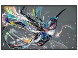 50BDL3511Q/11 [49.5インチ ブラック]