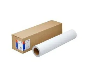 EPSON エプソン SureColor SC-P8550D用 耐水合成紙ロール/24インチ×30.5m EPTG24