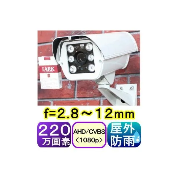 【SA-50960】220万画素 耐寒仕様 屋外用ヒータ－+ファン内蔵防犯カメラ AHD&CVBS(アナログ)信号切替出力(2in1) f=2.8～12mm