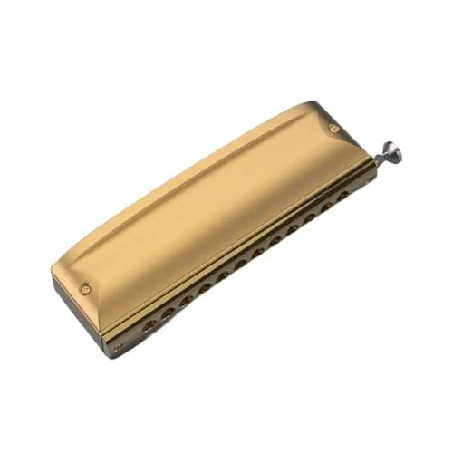 TYCHWZRMV 子供と大人向けのジアトニックハーモニカ、 Student Harmonica Durable Silver Gold Professional Harmonica 12 Hole Chromatic Harmonica harmonic