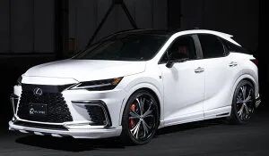 エムズスピード RX 350(TALA15) RX500h(TALH17) 3点KIT AES製 塗り分け塗装 2334-s001-083 M'z SPEED LUV LINE