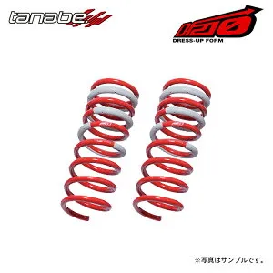 tanabe タナベ サステック DF210 ダウンサス リアのみ スイフト ZC71S H19.5～H22.9 K12B NA FF