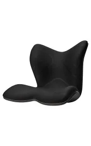 スタイル プレミアム シリーズ/Style PREMIUM Series MTG エムティージー 骨盤サポートチェア 座椅子 ミーティングチェア (シート（PREMIUM）, ブラック)