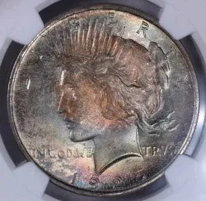 1925年ピースシルバードル - NGC MS65 - 素晴らしい色調!! JS