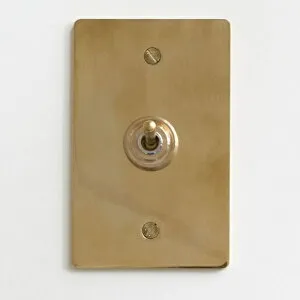 AXCIS アクシス 真鍮 アメリカン リフォーム スイッチプレート 照明スイッチ リノベーション 新築 アンティーク風 真鍮プレートスイッチ 0052-zk-hs2335