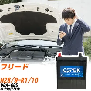 ホンダ フリード GB5 H28/9-R1/10 寒冷地仕様車 バッテリー 車用 GSPEK Wシリーズ W-N65/PL 【H04006】