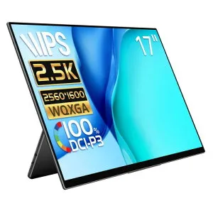 モバイルモニター EHOMEWEI 2.5K 17インチ WQXGA 2560x1600 100% DCI-P3 薄型 5mm ゲーミング モニター スピーカー内蔵 ブルーライトカット ケース付 タッチパネル非対応 RQ-170NW