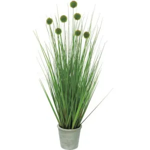 グリーンクロス 【別途送料】 【個人宅不可】 ポンポングラスポットM 全長88cm 6300029174 [1560-3668661]