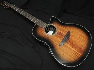 OVATION CS24P ABLKW 2023 Limited Edition Celebrity Exotic Mid Depth オーストラリアン・ブラックウッド オベーション セレブリティ アコースティックギター エレアコ【送料無料】【限定生産モデル】