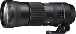 SIGMA 150-600mm F5-6.3 DG OS HSM | Contemporary C015 | Sigma SAマウント | Full-Size/Large-Format