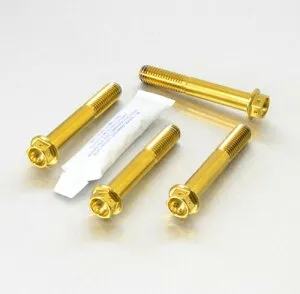 PRO BOLT プロボルト Stainless Steel Front Brake Mounting Bolt Kit Race Spec 999R S Monster 821 VFR1200 FD 690 Duke ZX-6R 636 Daytona 675 DUCATI ドゥカティ HONDA ホンダ KTM KAWASAKI カワサキ TRIUMPH トライアンフ キャリパーボル