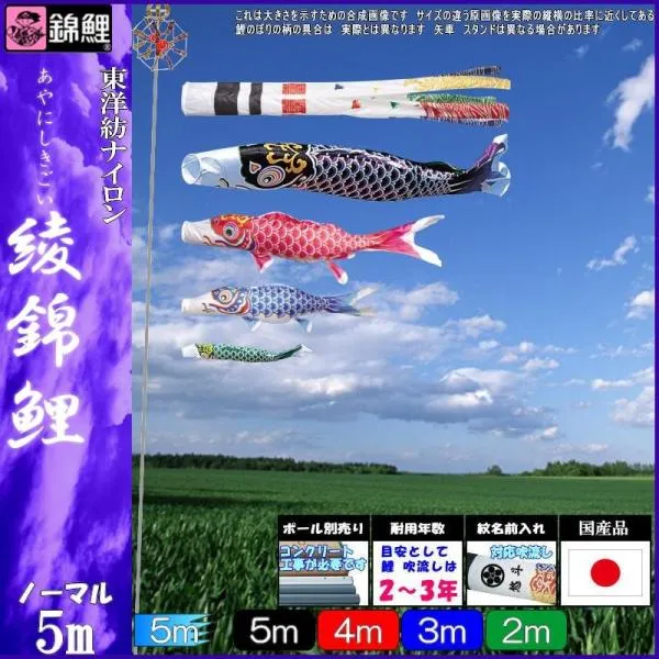 鯉のぼり 錦鯉 ANN0054 ノーマルセット 綾錦鯉 5m4匹 浪千鳥吹流し 139600239