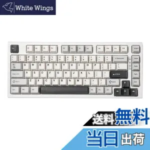 【送料無料】YUNZII YZ75 75% ホットスワップ対応ワイヤレスゲーミングキーボード RGBバックライト BT5.0/2.4G/USB-C、Dye Sub PBTキーキャップ Linux/Win/Mac用 技適認証取得（Gateron G Pro 赤軸,ホワイト)