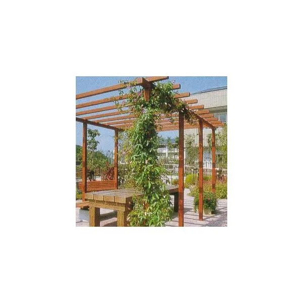 ストレートパーゴラ ダブル アルミ製組立式 1SP W1600×D3100×H2440mm（藤棚 ふじ棚 ぶどう棚 葡萄棚） タカショー yuas