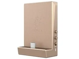 DH80 [Champagne gold]