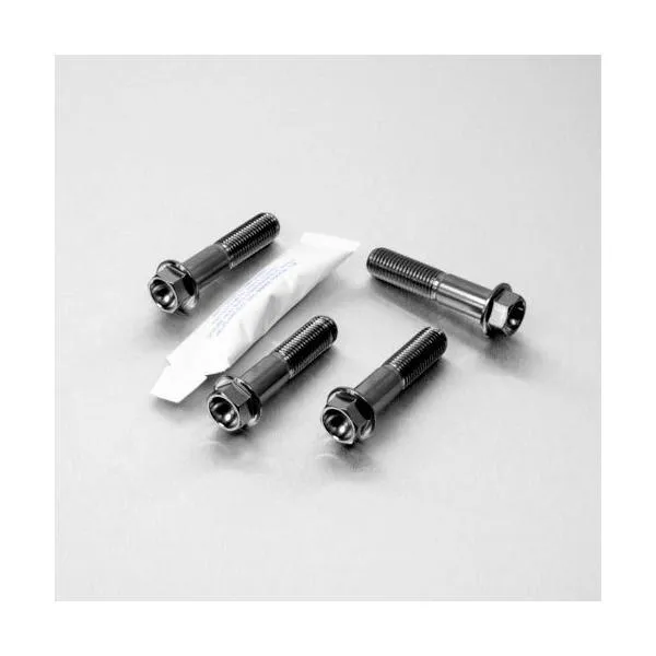 PRO BOLT プロボルト Stainless Steel Front Brake Mounting Bolt Kit カラー：ブラック Africa Twin CRF1000L HONDA ホンダ キャリパーボルト・マウントボルト