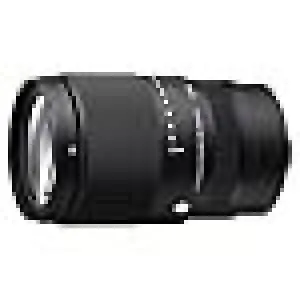 シグマ(Sigma) レンズ 16-300mm F3.5-6.7 DC OS Sony E マウント 高倍率ズーム 標準 APS-C Cantemporary ミラーレス専用