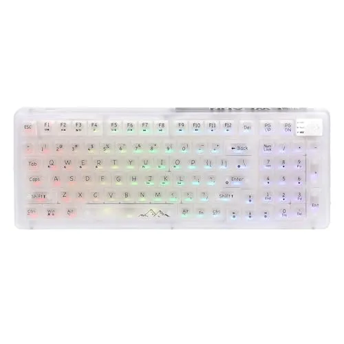 OUSEITECH X EWEADN V99 ゲーミングキーボード メカニカル 半透明キーボード 半透明キーキャップ 99キー ワイヤレス ホットスワップ対応 RGBバックライト BT5.0/2.4G/USB-C ガスケット搭載 Android/OS/Ma