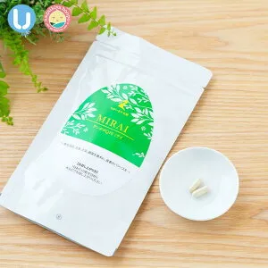 ＼楽天1位／ 妊活サプリ【ミライ 2ヶ月分 120粒 ミトコンドリアがターゲット 吸収型COQ10】コエンザイム Q10 dhea ジオスゲニン 山芋エキス サプリメント ビタミンD ポリアミン 妊活 女性 男性 夫