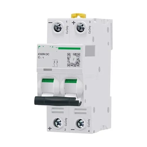 2p 車両DCサーキットブレーカー IC65N DC 12V 24V 48V 60V エアスイッチ 63A バッテリー車両専用(40a)