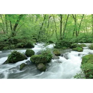 サンゲツ デジタルプリント壁紙 リザーブ（HIGH GRAFICA）風景写真 奥入瀬渓流 Mサイズ（3巾） W2700mm×H1875mm HZ-7043M 1セット