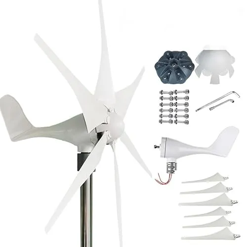 TVT6 ブレード 小型マイクロ風力発電機 300W 12V/24V/48V 横軸 アルミ合金ベース コントローラ付属 家庭用・屋外用発電キット (300W24V+コント口一ラ)