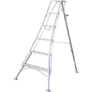 アルステップ AMP-6