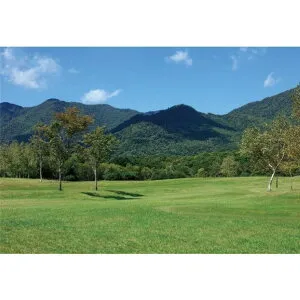 サンゲツ デジタルプリント壁紙 リザーブ（HIGH GRAFICA）風景写真 富良野 緑地公園 Mサイズ（3巾） W2700mm×H1875mm HZ-7028M 1セット