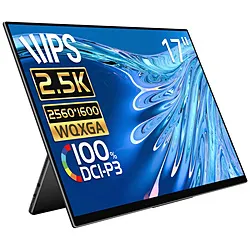 EHOMEWEI USB-C接続 モバイルモニター Rシリーズ RQG-170NW ［17型 /WQXGA(2560×1600） /ワイド］