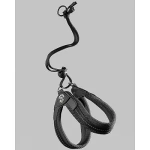 （ペット） TRE PONTI リベルタ ソフトメッシュ ブラック 2号 LTP103 ペット 犬 猫 キャット ドック | 関連単語 水槽 熱帯魚 アイディア 便利 アイディアグッズ ドッグウェア 時短 ミニ 小型おし