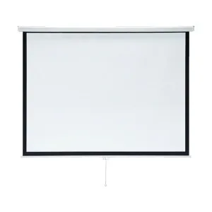 SANWA SANWA プロジェクタースクリーン 吊り下げ式 PRS-TS103 1個